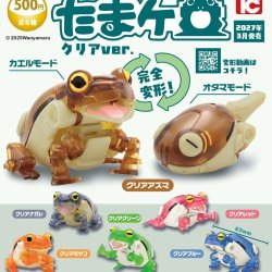 画像1: たまケロ クリアver.（３月）【〇500円カプセル 20個入り トイズキャビン】＋正規台紙