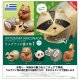 アーテサニア・リンコナダ ウルグアイの置き物1（３月）【〇500円カプセル 20個入り キタンクラブ】＋正規台紙