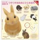 ntc.Puff うさぎ マーカーチャーム（２月）【〇300円カプセル 40個入り キタンクラブ】＋正規台紙