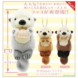 画像1: かわいい かわいい ぬいぐるみ BIG （ラッコ）【再販】（３月）【〇500円カプセル 20個入り キタンクラブ】＋正規台紙