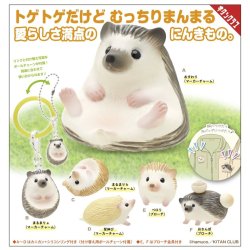 画像1: ntc.Puff ハリネズミ マーカーチャーム＆ブローチ（３月）【〇300円カプセル 40個入り キタンクラブ】＋正規台紙