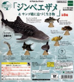 画像1: 地球生命紀行　ジンベイザメ＆サンゴ礁に息づく生き物