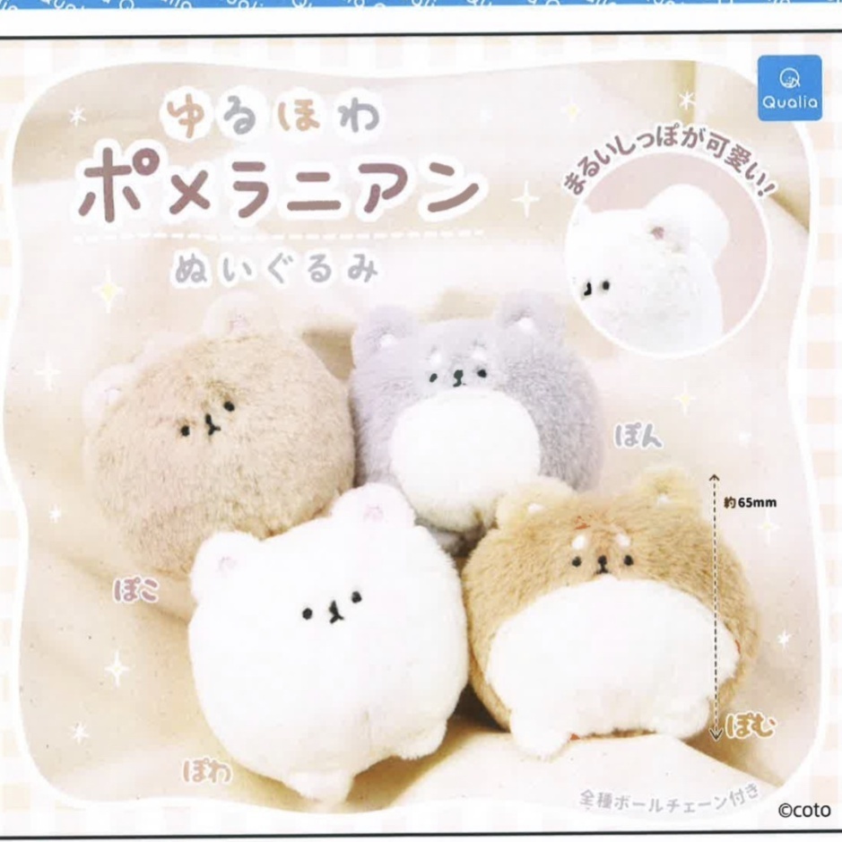 ゆるほわポメラニアン ぬいぐるみ（再販）（１１月）【▲４００円カプセルトイ　３０個入り　クオリア】＋正規台紙
