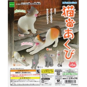 画像: 猫のあくび