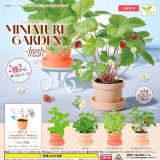 画像: ミニチュアガーデン－フレッシュ－（４月）【♪３００円カプセルトイ　４０個入り　エール】＋正規台紙