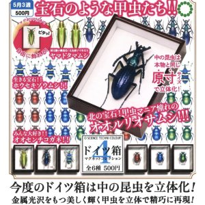 画像: STC ドイツ箱 マグネットコレクション４（５月）【★５００円カプセルトイ　２０個入り　いきもん】＋正規台紙