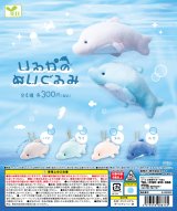 画像: いるかのぬいぐるみ（５月）【★３００円カプセルトイ　４０個入り　エール】＋正規台紙