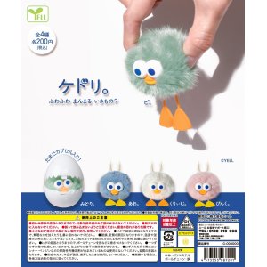 画像: ケドリ。（再販）（５月）【★２００円カプセルトイ　５０個入り　エール】＋正規台紙