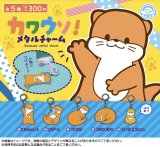画像: カワウソ！メタルチャーム（５月）【★３００円カプセルトイ　４０個入り　石川玩具】＋正規台紙