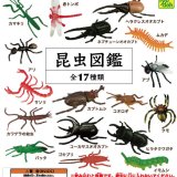 画像: 昆虫図鑑再販（５月）【★１００円カプセルトイ　１００個入り　共同】＋正規台紙