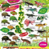 画像: トカゲと亀リニューアル再販（５月）【★１００円カプセルトイ　１００個入り　共同】＋正規台紙