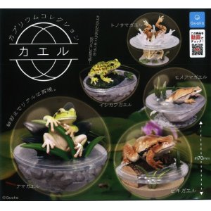 画像: カプリウムコレクション カエル(再販)（５月）【★５００円カプセルトイ　２０個入り　クオリア】＋正規台紙