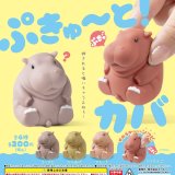 画像: ぷきゅーと！カバ（６月）【◇２００円カプセルトイ　５０個入り　エール】＋正規台紙