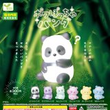 画像: ポワぽっちゃパンダ（６月）【◇３００円カプセルトイ　４０個入り　エール】＋正規台紙