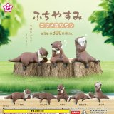 画像: ふちやすみコツメカワウソ（６月）【◇３００円カプセルトイ　４０個入り　エール】＋正規台紙