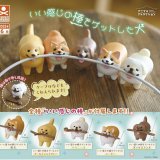 画像: いい感じの棒をゲットした犬（６月）【◇３００円カプセルトイ　４０個入り　S・ストーンズ】＋正規台紙