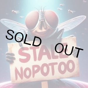 画像: ナガノキャラクターズ もっちるフェイスマスコット（６月）【◇５００円カプセルトイ　２０個入り　パレード】＋正規台紙１枚