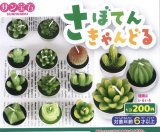 画像: さぼてんきゃんどる（７月）【◆２００円カプセルトイ　５０個入り　サン宝石】＋正規台紙