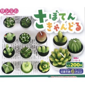 画像: さぼてんきゃんどる（７月）【◆２００円カプセルトイ　５０個入り　サン宝石】＋正規台紙