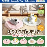 画像: むちむちブルテリアおるすばんフィギュア（７月）【◆３００円カプセルトイ　４０個入り　アミューズ】＋正規台紙