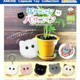 画像: ケサニャンパサニャンポンポンKH（７月）【◆３００円カプセルトイ　４０個入り　アミューズ】＋正規台紙