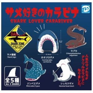 画像: 再販 サメ好きのカラビナ（７月）【◆３００円カプセルトイ　４０個入り　Ｄｉｓ】＋正規台紙