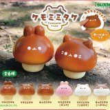 画像: ケモミミタケ（再販）（７月）【◆３００円カプセルトイ　４０個入り　ブルーム】＋正規台紙