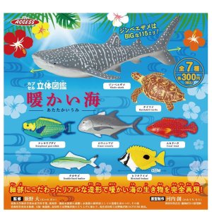 画像: カプセル立体図鑑　暖かい海（７月）【◆３００円カプセルトイ　４０個入り　アクセス】＋正規台紙