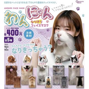 画像: わんにゃん　なりきりフェイスマスク（７月）【◆４００円カプセルトイ　３０個入り　ピーナッツ】＋正規台紙
