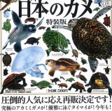 画像: NTC 日本のカメ 特装版（再販）（８月）【□５００円カプセルトイ　２０個入り　いきもん】＋正規台紙