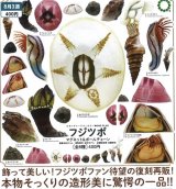 画像: NTC MONO+ フジツボ マグネット&ボールチェーン（８月）【□４００円カプセルトイ　３０個入り　いきもん】＋正規台紙