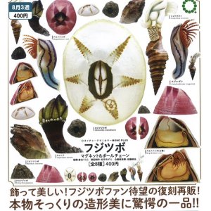 画像: NTC MONO+ フジツボ マグネット&ボールチェーン（８月）【□４００円カプセルトイ　３０個入り　いきもん】＋正規台紙