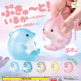 画像: ぷきゅーと！いるか－Ｃｌｅａｒ－（８月）【□２００円カプセルトイ　５０個入り　エール】＋正規台紙