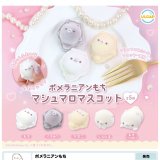 画像: ポメラニアンもち　マシュマロマスコット（８月）【□４００円カプセルトイ　３０個入り　ウルプラ】＋正規台紙