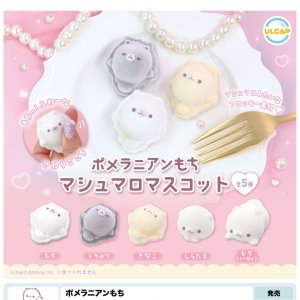 画像: ポメラニアンもち　マシュマロマスコット（８月）【□４００円カプセルトイ　３０個入り　ウルプラ】＋正規台紙