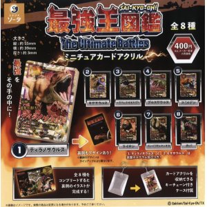 画像: 最強王図鑑ミニチュアカードアクリル（８月）【□４００円カプセルトイ　３０個入り　SO-TA】＋正規台紙