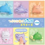 画像: ＴＦＣ　つぶらな瞳のスクイーズ 水族館（９月）【□１カートン１４０個入り　エール】