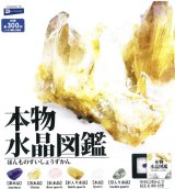 画像: 本物水晶図鑑（８月）【□３００円カプセルトイ　４０個入り　レインボー】＋正規台紙