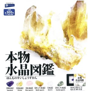 画像: 本物水晶図鑑（８月）【□３００円カプセルトイ　４０個入り　レインボー】＋正規台紙