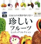 画像: 日本人の９割が知らない珍しいフルーツミニチュアコレクション（８月）【□４００円カプセルトイ　３０個入り　レインボー】＋正規台紙