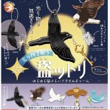 画像: 【光り物を狙う 盗ットリ】ゆらゆら風さらいアクリルチャーム（８月）【□３００円カプセルトイ　４０個入り　ブライトリンク】＋正規台紙