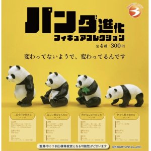 画像: パンダ進化 フィギュアコレクション（８月）【□３００円カプセルトイ　４０個入り　ブライトリンク】＋正規台紙