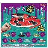 画像: リアルな毒ヘビ（８月）【□３００円カプセルトイ　４０個入り　アクセス】＋正規台紙