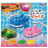 画像: ゆるぴかふろーてぃんぐジンベエ（８月）【□４００円カプセルトイ　３０個入り　アクセス】＋正規台紙