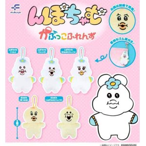 画像: んぽちゃむ　かぷっこふれんず（８月）【□５００円カプセルトイ　２０個入り　フクヤ】＋正規台紙