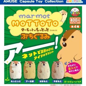 画像: マーモットのもっとっとぷちぐるみ（９月）【■４００円カプセルトイ　３０個入り　アミューズ】＋正規台紙