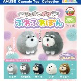 画像: シュナとボブふわふわぽん（９月）【■３００円カプセルトイ　４０個入り　アミューズ】＋正規台紙
