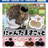 画像: にゃんたますこっと（９月）【■３００円カプセルトイ　４０個入り　アミューズ】＋正規台紙