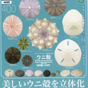 画像: NTC MONO+ ウニ殻 マグネットコレクション（９月）【■４００円カプセルトイ　３０個入り　いきもん】＋正規台紙