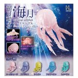 画像: 超可動式セレスティアルジュエリーフィッシュ（９月）【■３００円カプセルトイ　４０個入り　ホットライン】＋正規台紙